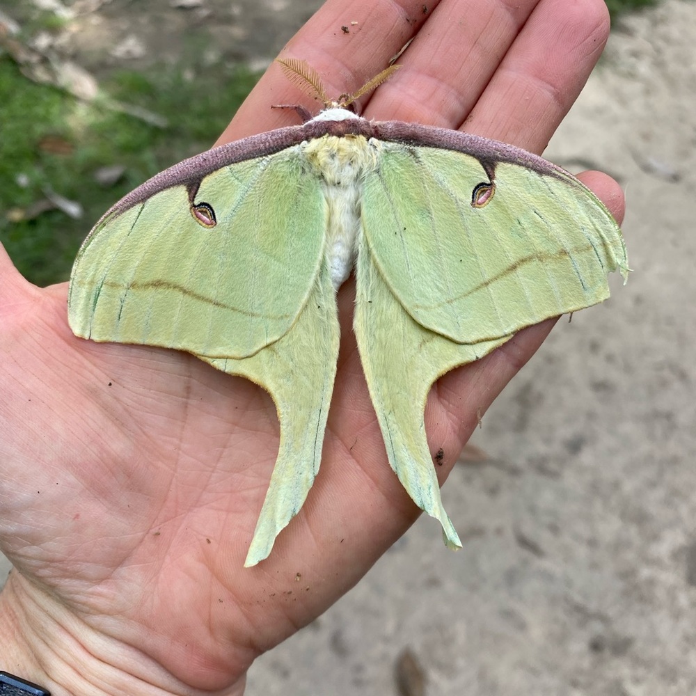 Meet your Posher, Marie